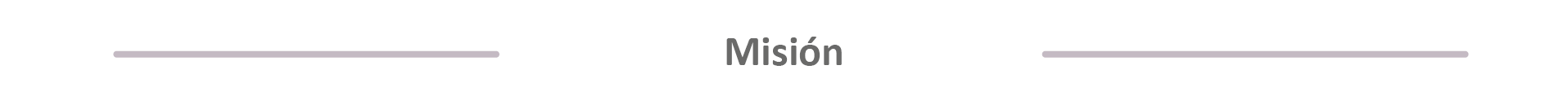Misión