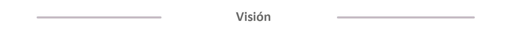 Visión